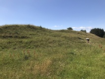 Tidcombe Long Barrow - PID:307010
