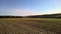 Square Copse Barrow Cemetery