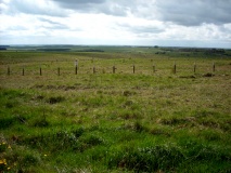 Weather Hill Disc Barrow