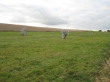 West Kennet Avenue