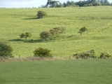 Barbury Castle - PID:80470