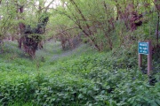 Click for full size image of Castle Ditches (Wiltshire) (PID:29789) Castle Ditches (Wiltshire)