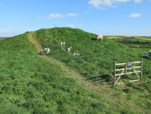 The Sanctuary Barrows