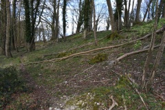 Botley Hill Long Barrow - PID:303314 Botley Hill Long Barrow - PID:303314