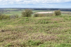 Botley Hill Disc Barrow - PID:303351 Botley Hill Disc Barrow - PID:303351