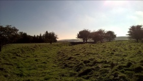 Burderop Down Disc Barrow