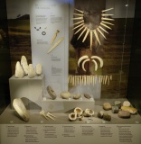 Wiltshire Heritage Museum - PID:307518