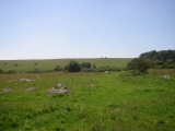 Fyfield Down submitted by winnits