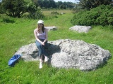Fyfield Down - PID:1499