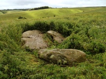 Harestone Down