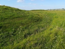 Picket Barrow