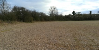 Ogbury Camp