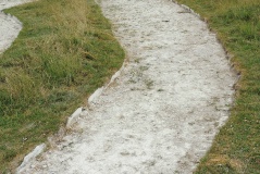 Devizes White Horse - PID:172328 Devizes White Horse - PID:172328