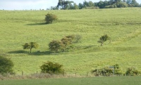 Burderop Down - PID:81585