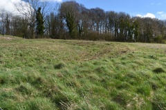Botley Hill Disc Barrow - PID:303346 Botley Hill Disc Barrow - PID:303346