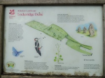 Lockeridge Grey Wethers