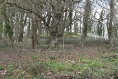 Botley Hill Long Barrow - PID:303311 Botley Hill Long Barrow - PID:303311