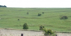 Burderop Down - PID:81587
