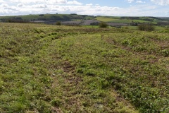 Botley Hill Disc Barrow - PID:303355 Botley Hill Disc Barrow - PID:303355