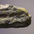 Avebury - PID:202412