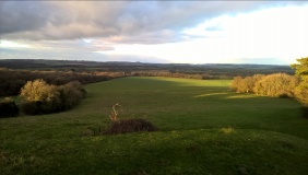 Martinshill Fort