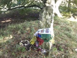 Henge and Four Bronze Age Barrows South West of Fox Covert - PID:217361