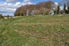 Botley Hill Disc Barrow - PID:303347 Botley Hill Disc Barrow - PID:303347