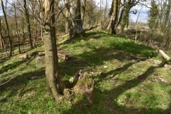 Botley Hill Long Barrow - PID:303315 Botley Hill Long Barrow - PID:303315