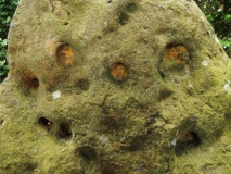 Cherhill cup marked stone - PID:168713