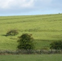 Burderop Down - PID:81586