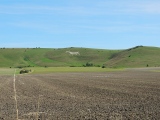 Alton Barnes White Horse - PID:170009