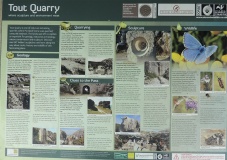 Tout Quarry Sculpture Park - The circle of stones