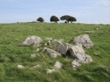 Fyfield Down - PID:213396