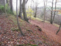 Vespasian's Camp