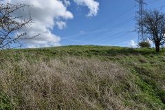 Botley Copse Bowl Barrow - PID:303439 Botley Copse Bowl Barrow - PID:303439