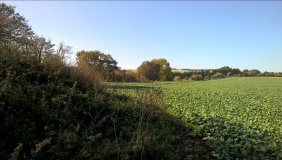 Draycot Foliat Bowl Barrow