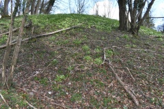 Botley Hill Long Barrow