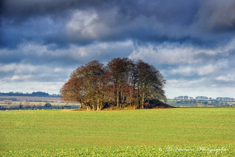 Click for the gallery page to add comments and vote (PID:164833) Overton Down