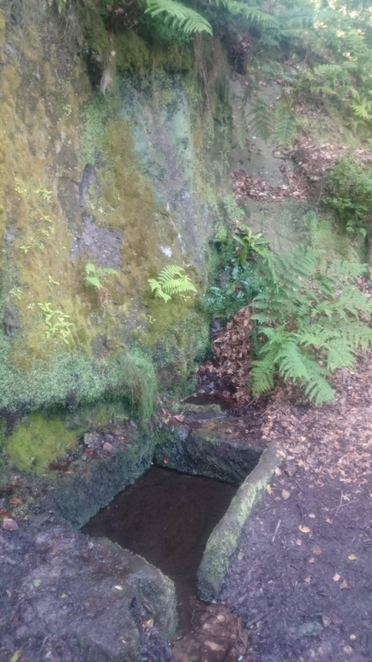 Click for the gallery page to add comments and vote (PID:231128) Holy Well (Alderley Edge)