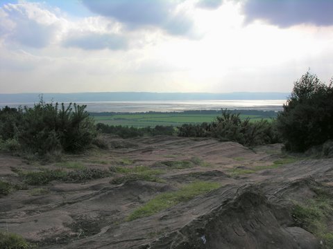 Part of the expanse of Thor's Stone near Thurstaston on the Wirral. The highest point on the Peninsula, views across to Liverpool and North Wales.