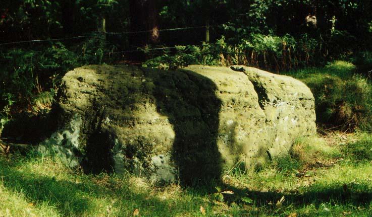 Golden Stone (Alderley Edge)