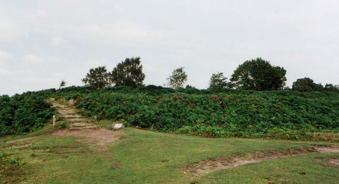 Maiden Castle (Cheshire)