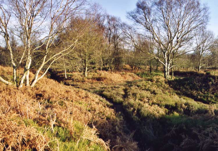 Maiden Castle (Cheshire)