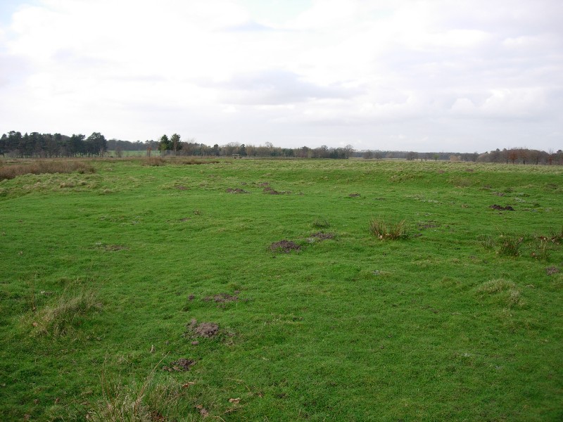 Tatton Iron Age roundhouse and pit