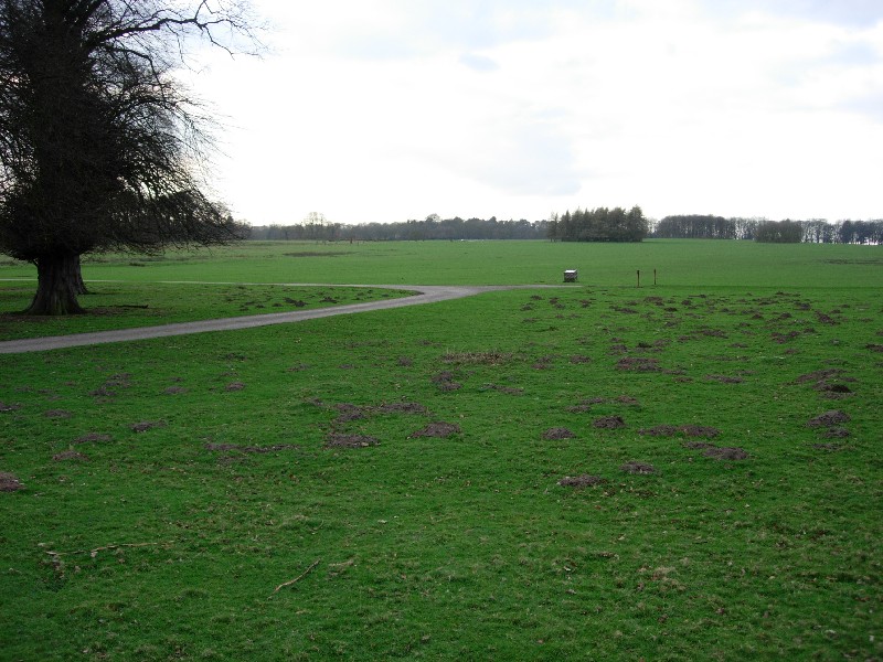 Tatton Neolithic posthole and pit