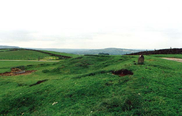 Click for the gallery page to add comments and vote (PID:1558) Cessbank Common