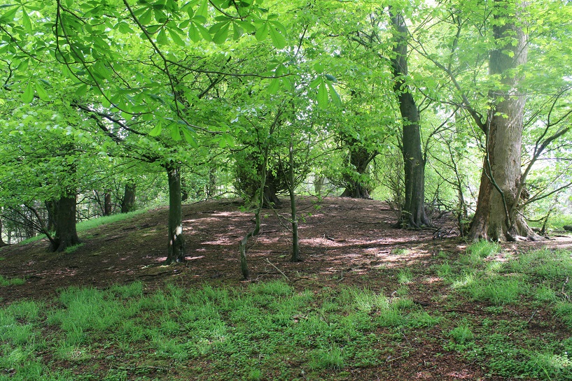 Click for the gallery page to add comments and vote (PID:108414) High Billinge
