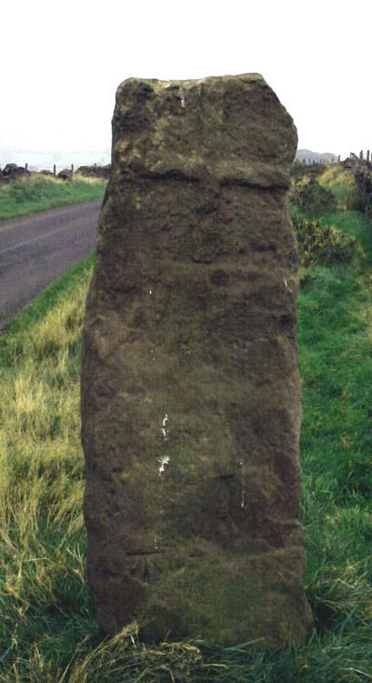 Click for the gallery page to add comments and vote (PID:396) The Plague Stone