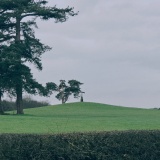 Capesthorne Hall (NE) - PID:300955