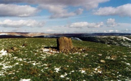 Bullstones